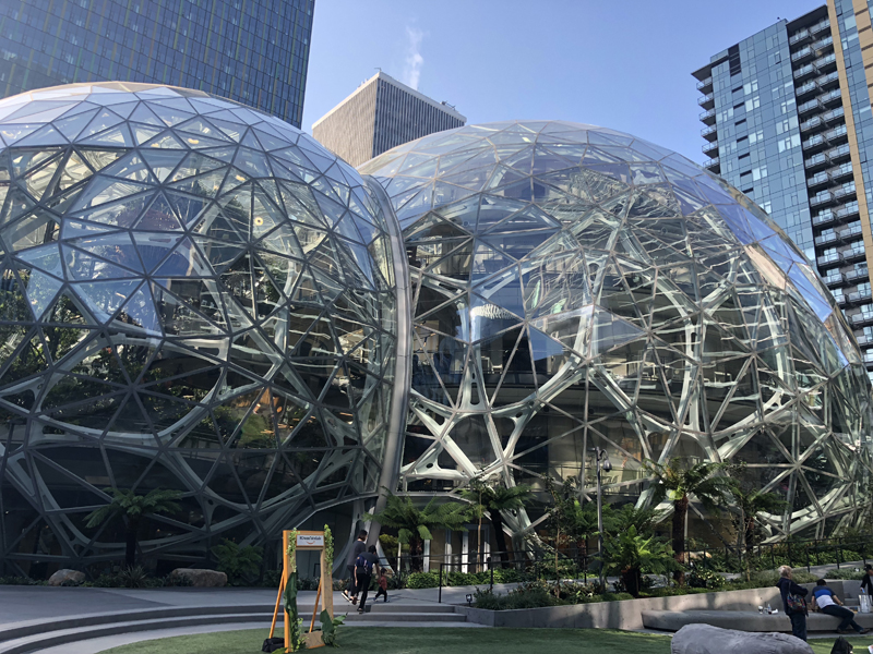 The Spheres Curved Steel Roof Supports