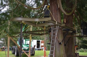 bent steel provides  tree house floor supports and decking