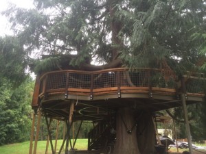 bent steel i beam for custom treehouse2