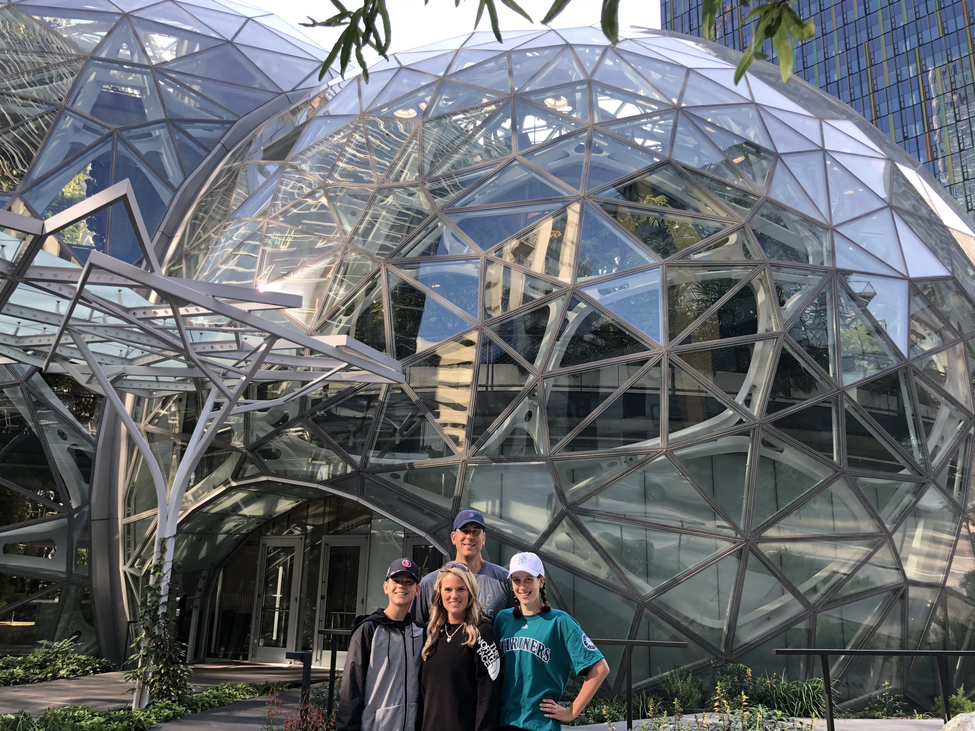"The Spheres" Curved Steel Roof Structure in Seattle, WA.