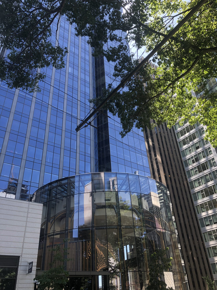 Curved Steel Roof Structure at the Madison Center Seattle, WA. 