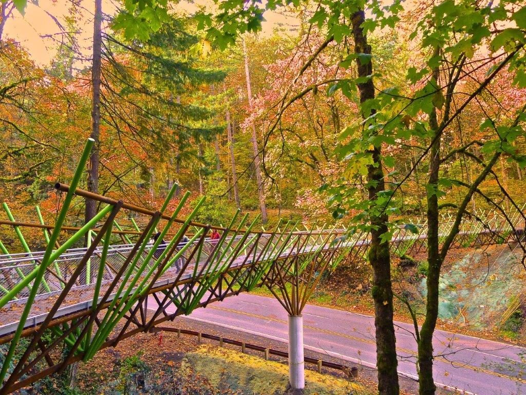 Barbara Walker Crossing Curved Steel Bridge along the Wildwood Trail