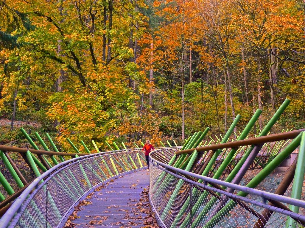 Curved Steel Pedestrian Bridge at the Barbara Walker Crossing of the Wildwood Trail in Portland, OR